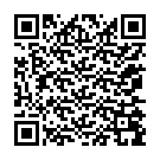 電話番号のQRコード +12075099034