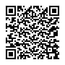 Codice QR per il numero di telefono +12075099040