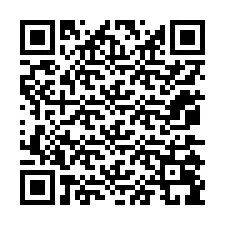 QR kód a telefonszámhoz +12075099045