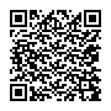 QR-code voor telefoonnummer +12075285236