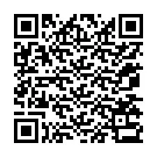 QR-код для номера телефона +12075333780