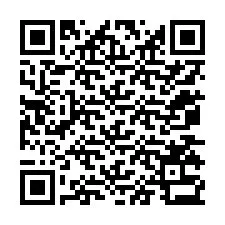 QR-code voor telefoonnummer +12075333784