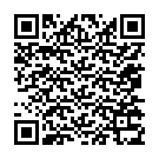 QR-code voor telefoonnummer +12075335966