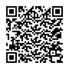 QR-код для номера телефона +12075338749