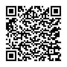 QR-код для номера телефона +12075339838