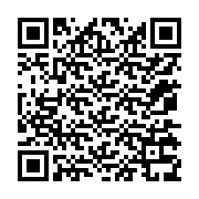 Codice QR per il numero di telefono +12075339841