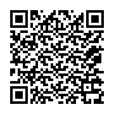 QR-code voor telefoonnummer +12075339879