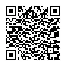 Código QR para número de teléfono +12075339880