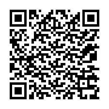 Código QR para número de telefone +12075339881