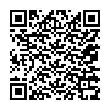 Codice QR per il numero di telefono +12075339893