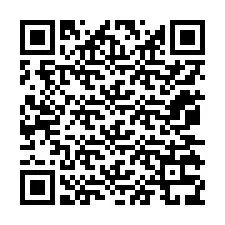 Código QR para número de teléfono +12075339895