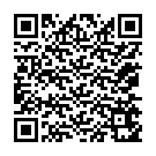 Codice QR per il numero di telefono +12075651639