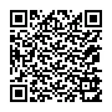 QR-code voor telefoonnummer +12075911451