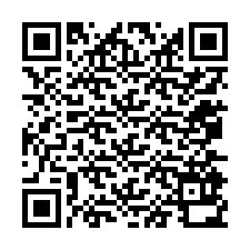 QR-code voor telefoonnummer +12075930666