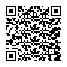 Codice QR per il numero di telefono +12078086139