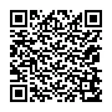 Código QR para número de telefone +12078653095