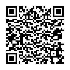 Codice QR per il numero di telefono +12078654843