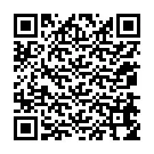 Codice QR per il numero di telefono +12078654844
