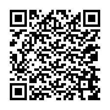 QR Code pour le numéro de téléphone +12078656198