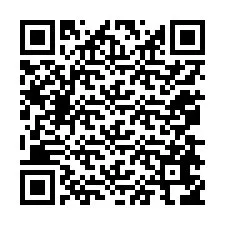 QR-code voor telefoonnummer +12078656976