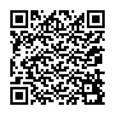 QR Code for Phone number +12079491604