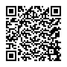 QR kód a telefonszámhoz +12079495651