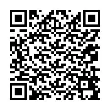 Código QR para número de telefone +12079495652