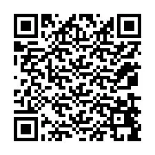 QR-code voor telefoonnummer +12079499301