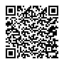 Código QR para número de teléfono +12079735653