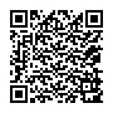 QR-code voor telefoonnummer +12079901629