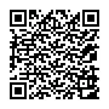 QR-код для номера телефона +12079902941