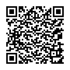 Codice QR per il numero di telefono +12079911050