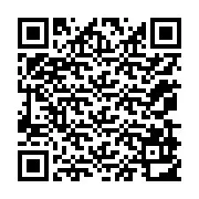 Código QR para número de teléfono +12079912731