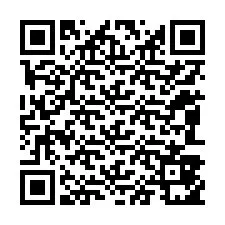 QR-code voor telefoonnummer +12083851910