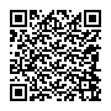 QR-code voor telefoonnummer +12084065284