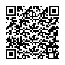 QR Code pour le numéro de téléphone +12085160780