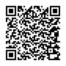 Codice QR per il numero di telefono +12085230090