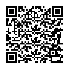 QR-Code für Telefonnummer +12085230355