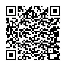 Codice QR per il numero di telefono +12085230356