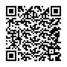 QR Code for Phone number +12085309699
