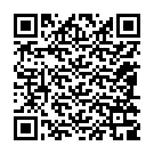 QR-code voor telefoonnummer +12085309699