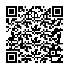 QR-код для номера телефона +12085310591