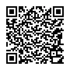 Codice QR per il numero di telefono +12085310758