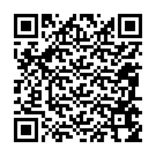 QR-code voor telefoonnummer +12085654753