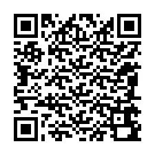 QR-koodi puhelinnumerolle +12085690884