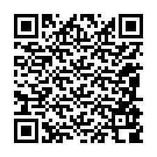 QR-код для номера телефона +12085908774