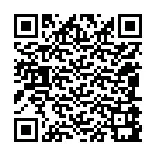 QR-code voor telefoonnummer +12085991094