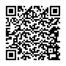 Codice QR per il numero di telefono +12085993663