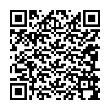 QR-Code für Telefonnummer +12085994632