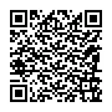 Codice QR per il numero di telefono +12086165891